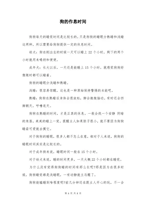 狗的作息时间