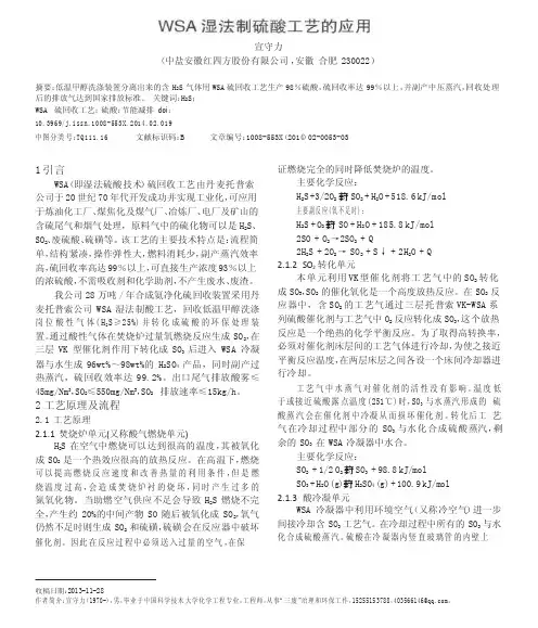 WSA湿法制硫酸工艺的应用