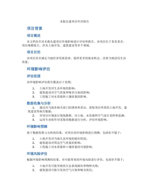 未批先建项目环评报告