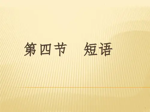 现代汉语第五版   第四节  短语(12)