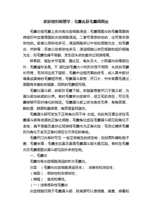 皮肤组织病理学：毛囊炎及毛囊周围炎
