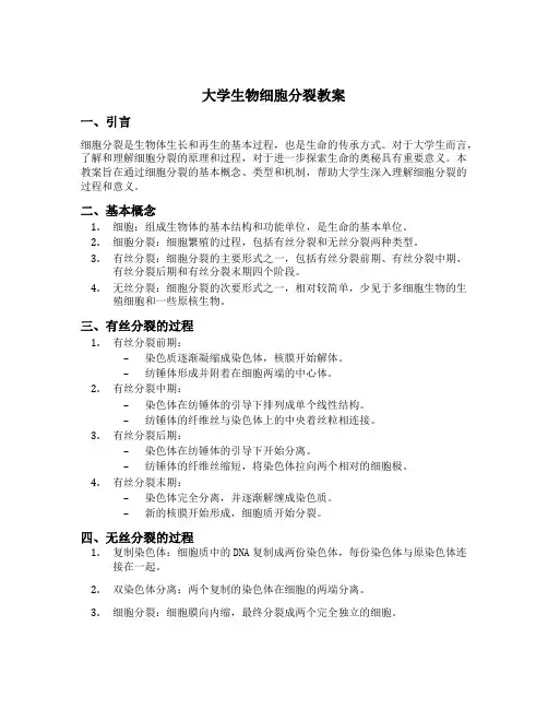 大学生物细胞分裂教案