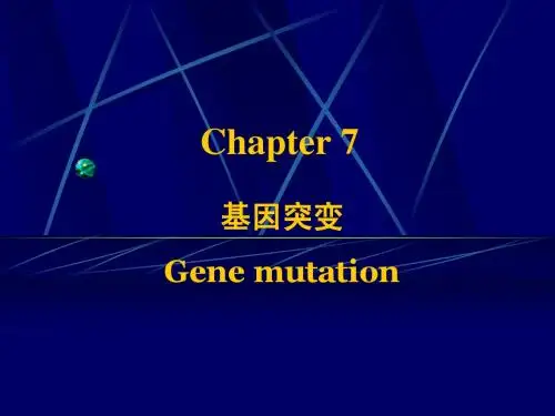 7 基因突变(徐晋麟 版)