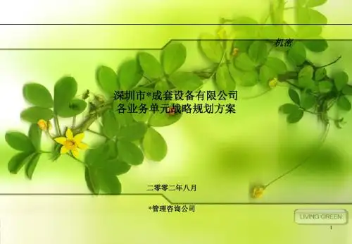 2019年整理罗兰贝格 某品牌有限公司战略业务规划