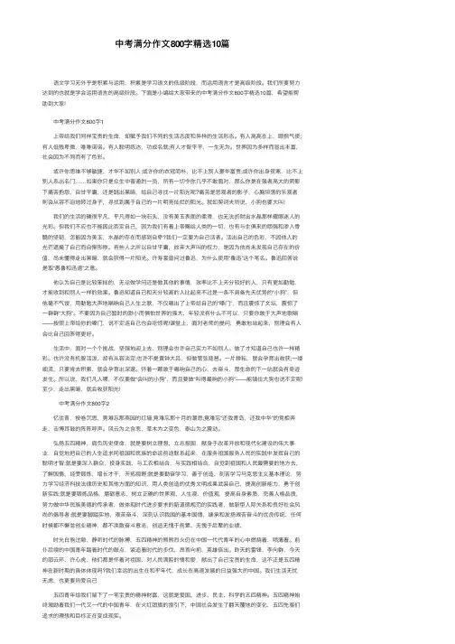 中考满分作文800字精选10篇