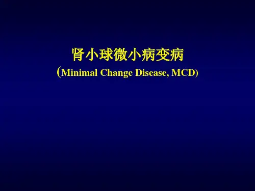 《肾小球微小病变病》PPT课件