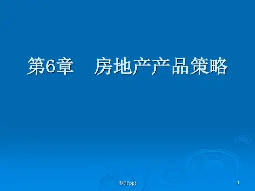 《房地产产品策略》PPT课件