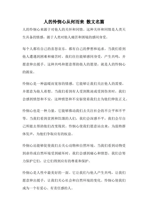 人的怜悯心从何而来 散文名篇