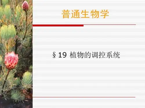普通生物学19章-植物的调控系统