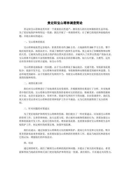 贵定阳宝山塔林调查简论