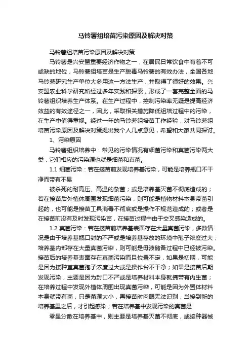 马铃薯组培苗污染原因及解决对策