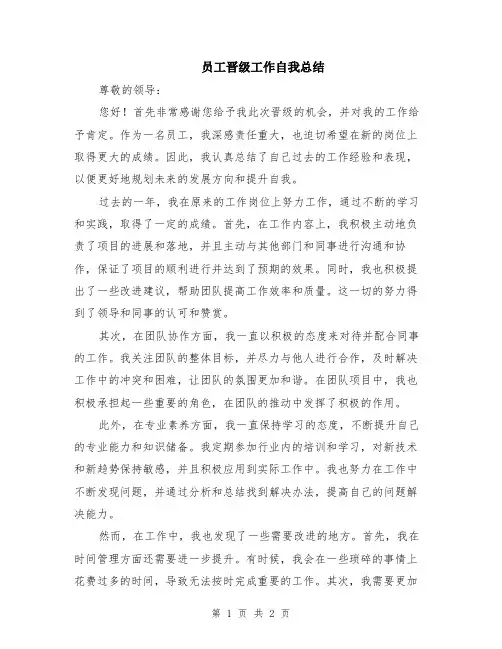 员工晋级工作自我总结