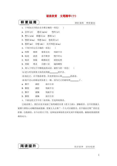 九年级语文下册诵读欣赏文笔精华()课时作业苏教版(1)