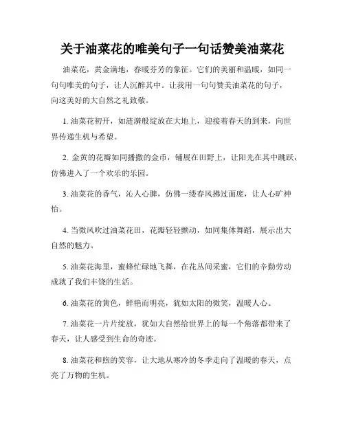 关于油菜花的唯美句子一句话赞美油菜花