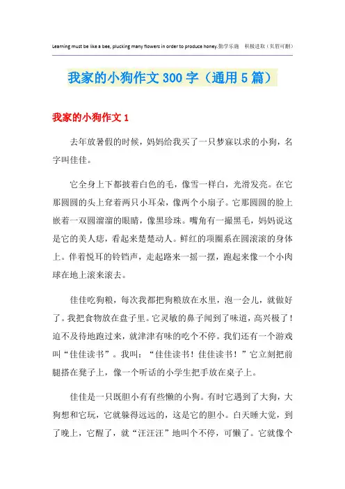 我家的小狗作文300字(通用5篇)