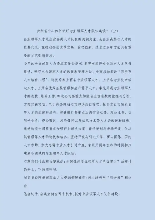 如何抓好专业领军人才队伍建设【范本模板】