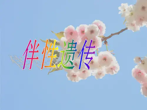 伴性遗传(公开课精品课件)