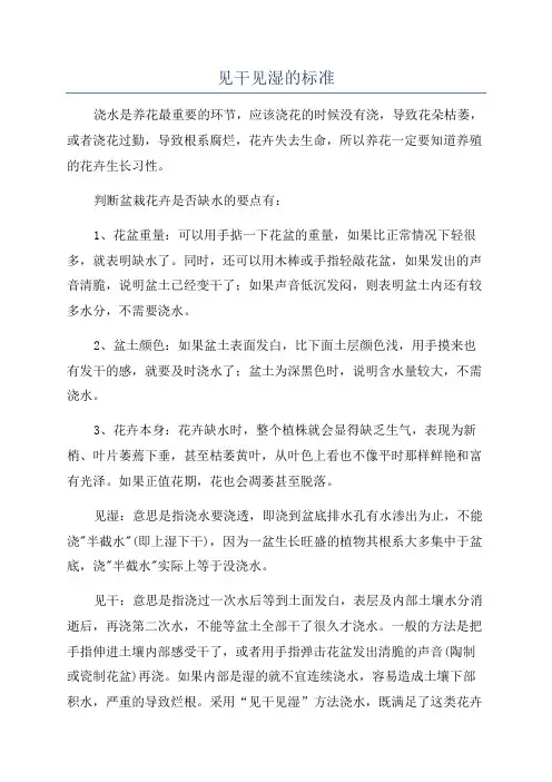 见干见湿的标准