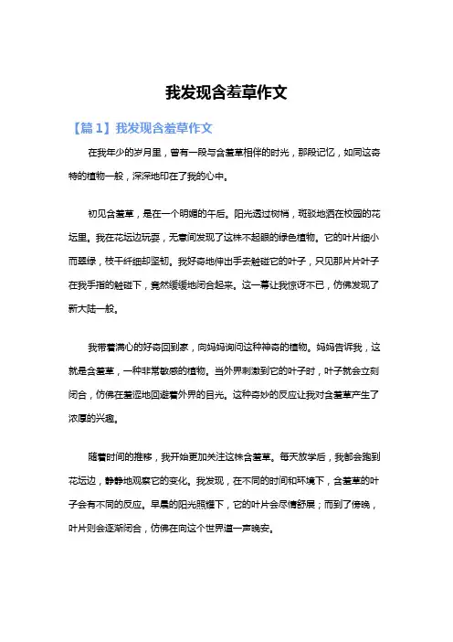 我发现含羞草作文
