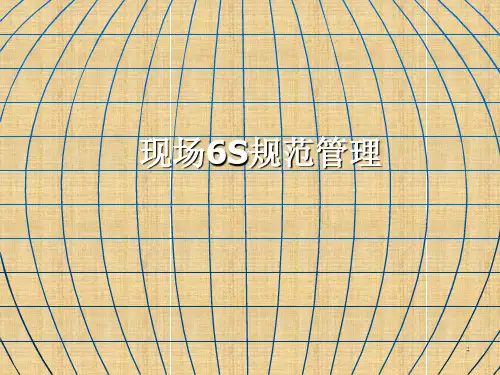 6S管理专业培训PPT精编版