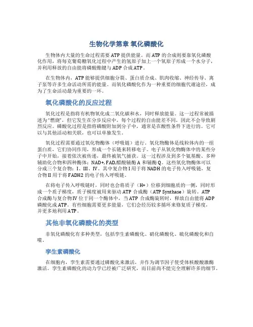 生物化学第章 氧化磷酸化