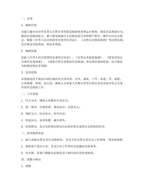 县级自然灾害专项应急预案