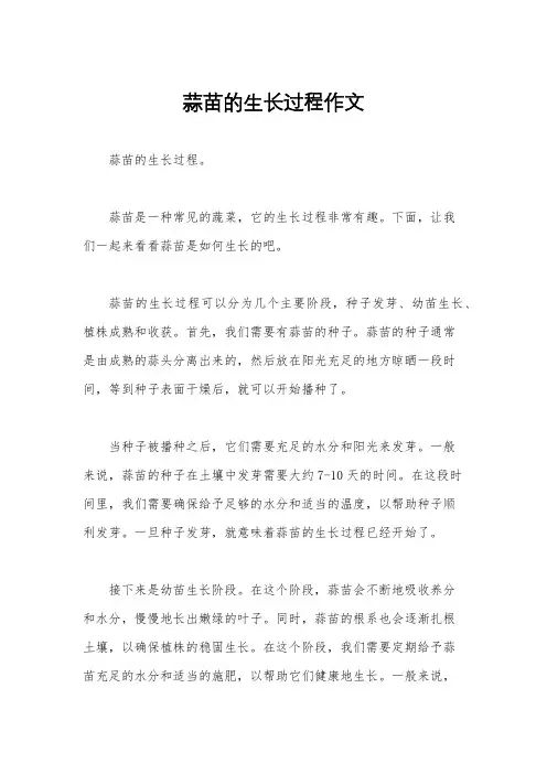 蒜苗的生长过程作文