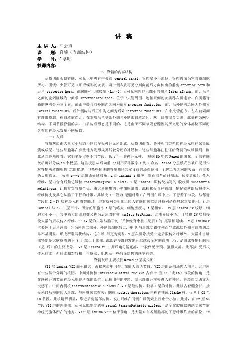 2脊髓内部结构
