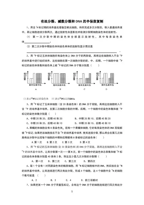 细胞分裂与DNA半保留复制