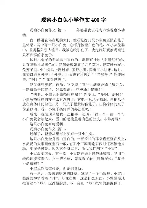 观察小白兔小学作文400字