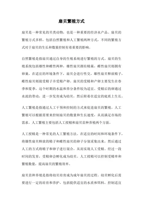 扇贝繁殖方式