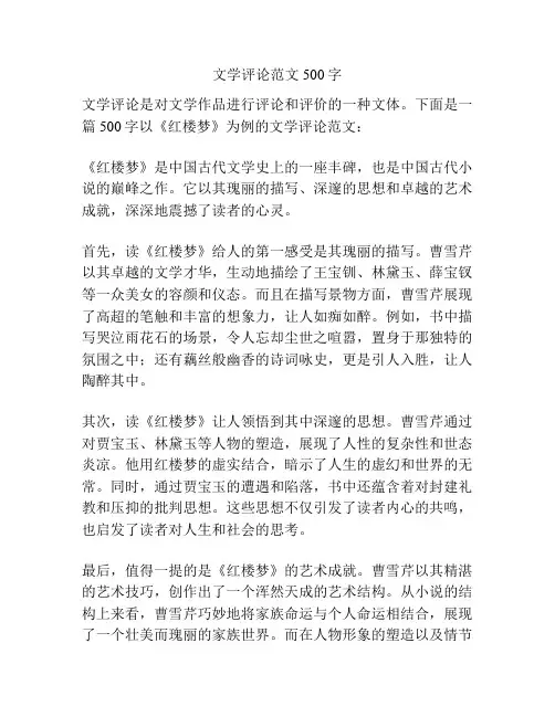 文学评论范文500字