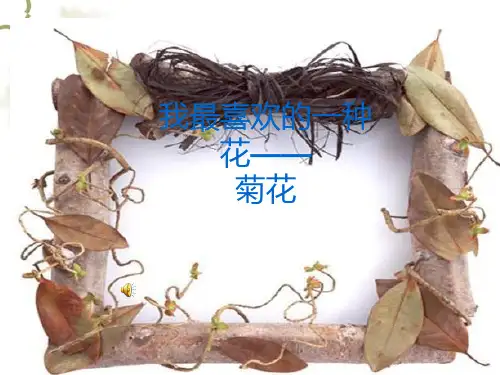 介绍植物——菊花