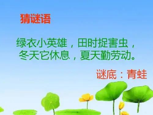 语文A版二年级上册第三单元10荷叶伞