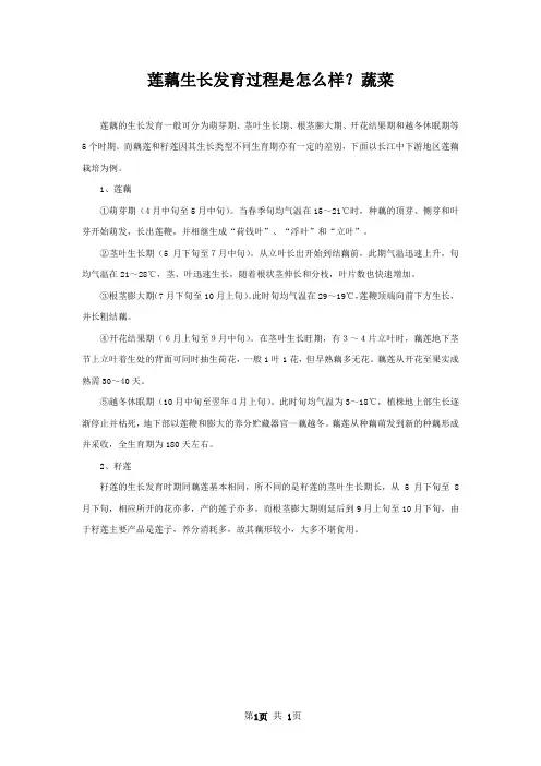 莲藕生长发育过程是怎么样？蔬菜