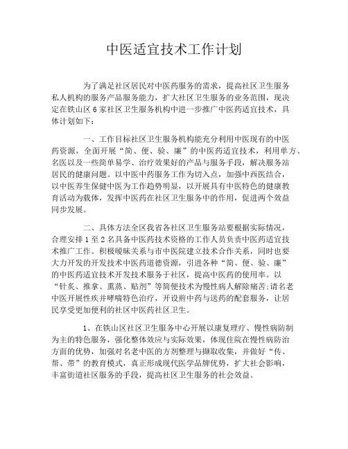 中医适宜技术工作计划