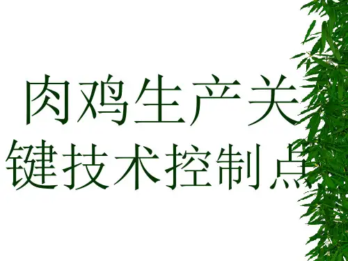 肉鸡生产关键技术控制点