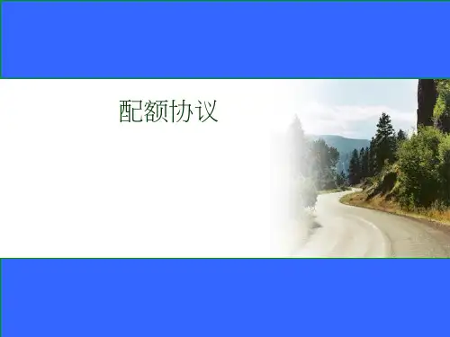 SAP配额协议(PPT45页)-精品课件
