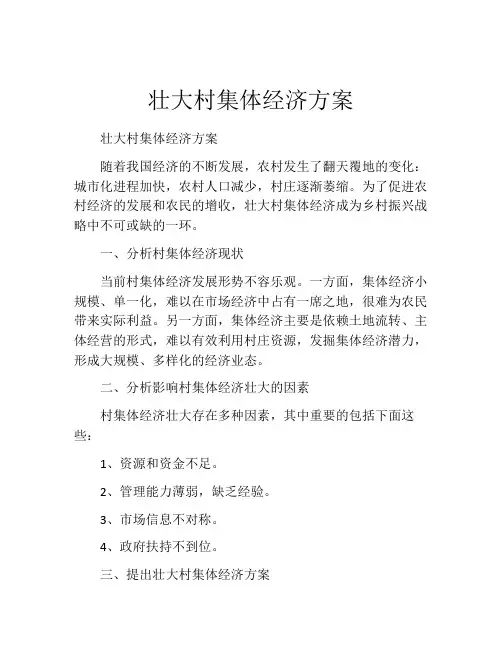 壮大村集体经济方案