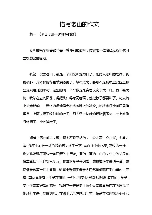 描写老山的作文