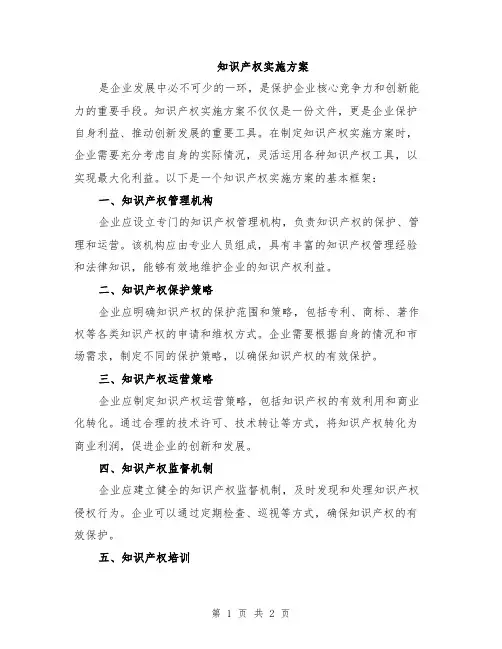 知识产权实施方案