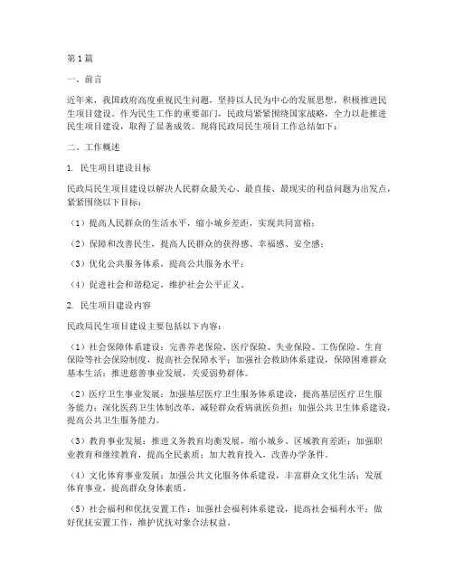 民政局民生项目工作总结(3篇)