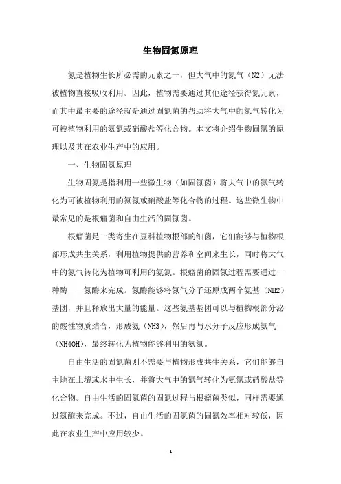 生物固氮原理