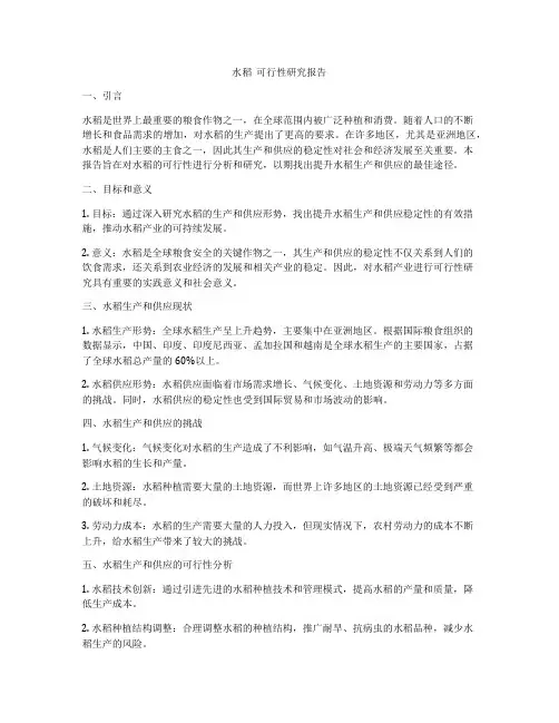 水稻  可行性研究报告