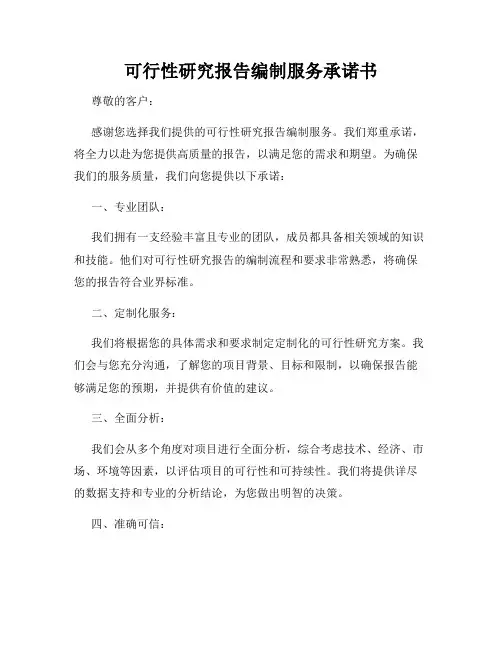 可行性研究报告编制服务承诺书
