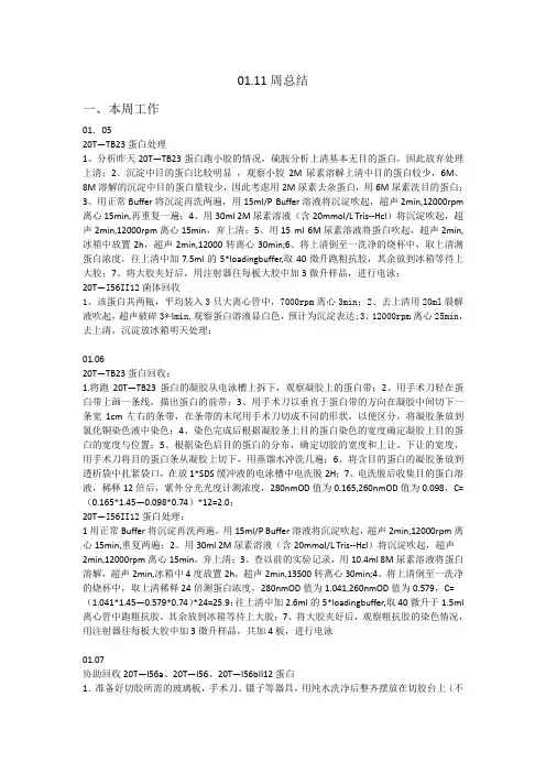基因重组蛋白纯化流程