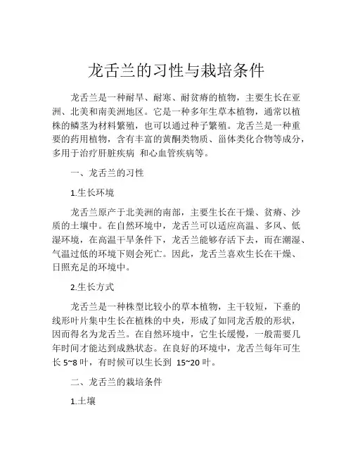 龙舌兰的习性与栽培条件