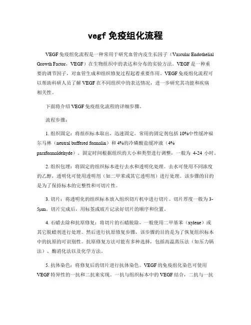 vegf免疫组化流程