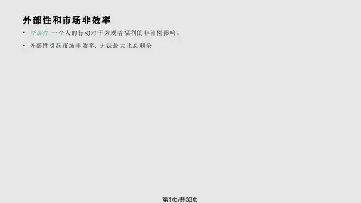 经济学微观经济学外部性PPT课件