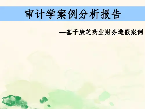 审计案例分析报告
